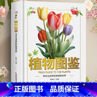 [单本]植物图鉴 [正版]动物图鉴带你走进神奇的动物世界精装硬壳儿童百科全书图鉴幼儿读物科学绘本故事6-12岁小学生科普