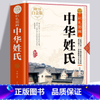 [正版]中华姓氏精装中国传统文化经典荟萃全书大全集关于介绍姓氏的起源发展迁徙分布来源百家姓故事历史大典古典文化书籍
