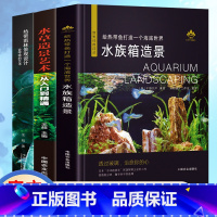 [正版]3册方寸之间雨林世界热带雨林景观设计水草造景艺术从入门到精通我的一本雨林缸造景书生态缸造景详解介绍雨林缸造景制作