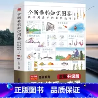 [正版]图解全新垂钓知识图鉴 零基础学钓鱼垂钓从新手到高手技巧大全垂钓工具地点天气钓钩鱼漂海钓知识 快速学会钓鱼0基础