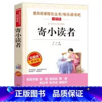 寄小读者 [正版]陶奇的暑假日记冰心 小学生阅读名著 无障碍阅读 小学生淘奇的暑期日记阅读写作训练书 儿童读物7-10-