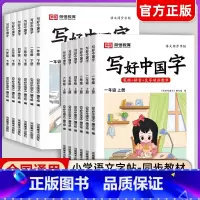 写好中国字[下册] 小学二年级 [正版]抖音同款荣恒小学生写好中国字正楷临摹儿童硬笔楷书一二年级三四上下册同步练字帖课课