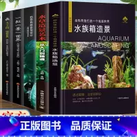 景观 全5册 [正版]热带雨林景观设计会呼吸的艺术 水草造景艺术从入门到精通王超鱼缸造景水族箱水草布景养水族馆装饰 水族