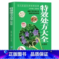 特效处方大全 彩图版 [正版]特效处方大全彩图版 中医书籍入门诊断学中药自学教程经典启蒙养生方剂老偏方中医调理书籍秘方临