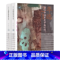 中国年度中篇小说(上下册) [正版] 漓江年选大系全14册 中国文学回忆录梳理全年文学作品推选出思想性艺术性俱佳有代