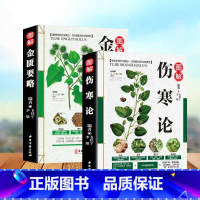 [正版] 伤寒论 张仲景+金匮要略 共两本中医临床丛书郝万山伤寒论杂病论中医四大经典名著自学入门古籍医学书中医基础理论知