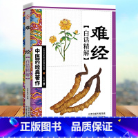 [正版]黄帝八十一难经白话精解 中医药经典著作 中华医学经典 古典奇书传承中医精要 中医参考书籍 王竹星编著 白话精解畅