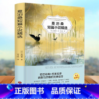 [正版]莫泊桑短篇小说精选 扫码听书 世界名著外国文学小说初中生高中生青少年版课外书籍世界经典短篇小说集