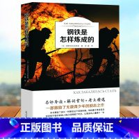 [正版]钢铁是怎样炼成的初中原著 八年级上初中生原版课外阅读书籍8年级下册 8年级中小学生课外书 经典世界名著练