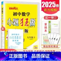 [提优版]九年级下册数学苏科版 初中通用 [正版]2025初中小题狂做七八九年级下册上册提优版巅峰语文数学英语物理化学人