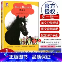 [Level1]黑骏马 七年级/初中一年级 [正版]津津有味读经典初中七年级八年级九年级Level123任选数字版通用版