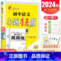 [提优版]八年级下册语文人教版 初中通用 [正版]2025初中小题狂做七八九年级下册上册提优版巅峰语文数学英语物理化学人