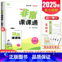 九年级下册数学苏科版江苏专用 九年级下 [正版]2025非常课课通七八九年级上下册语文数学英语物理化学历史道德与法治 7
