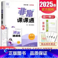 九年级下册化学人教版江苏专用 九年级下 [正版]2025非常课课通七八九年级上下册语文数学英语物理化学历史道德与法治 7