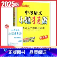 [正版]2025中考语文小题狂做提优版语言文字积累与运用通用版适合中考强化冲刺 中考初中考点过关专题突破 初三教辅书 9