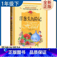 [正版]注音版洋葱头历险记 好书伴我成长系列一年级下册选读书好书 1年级下 天地出版社 小学阅读书目 南通发货