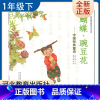 [正版]蝴蝶豌豆花 金波著 好书伴我成长一年级下册选读书 1年级下好书 中国经典童书河北教育出版社 小学阅读书目 南通发