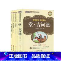 [正版]大悦读丛书4本套装 堂吉诃德 泰戈尔诗选 高老头 谈美书简 提升学生赏析能力中小学生课内课外阅读书目 吉林大