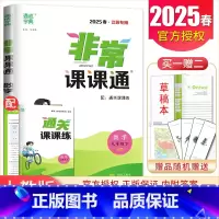 [正版]2025非常课课通数学九年级下册 人教版 江苏 初中同步初三重难点非常解读初中数学教辅辅导资料用书 9年级下 内