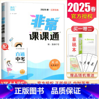[正版]译林版2025非常课课通英语九年级下册江苏同步初中初三课时重难点非常解读初中英语讲解类教辅工具书9年级下附答案通