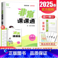 [正版]2025非常课课通数学八年级下册苏科版江苏初中同步班初二中学同步讲解重难点解读同步配套教辅辅导用书8年级下附答案