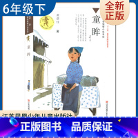 [正版]童眸 黄蓓佳著 好书伴我成长六年级下册 6年级下好书 江苏凤凰少年儿童出版社 小学语文阅读书目 南通总仓库发货