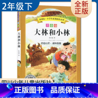 [正版]注音版 大林和小林 好书伴我成长系列二年级下册选读书 2年级下好书 四川少年儿童出版 小学阅读书目南通发货