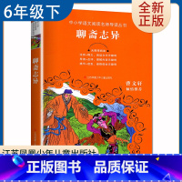 [正版]聊斋志异 好书伴我成长六年级下册选读书 6年级下好书 中小学语文阅读名师导读丛书 小学语文阅读书目 南通发货