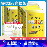 [提优版]中考物理 九年级/初中三年级 [正版]2025初中小题狂做提优版巅峰版九年级上册下册语文数学英语物理化学同步初