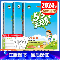 [正版]2024秋53天天练二年级上册 人教版语文苏教版数学译林版英语江苏 2年级上 共三本 小学生随堂天天练五三天天练