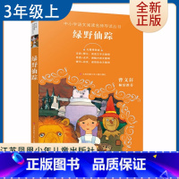 [正版]绿野仙踪 好书伴我成长系列三年级上册选读书 3年级上学期好书 江苏凤凰少年儿童出版 小学暑假阅读书目 南通发货