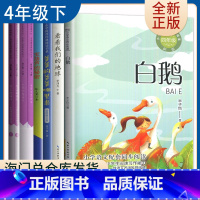 [正版]好书伴我成长四年级下册 宝葫芦的秘密+看看我们的地球+十万个为什么+灰尘的旅行+人类起源的演化过程4年级下学期5