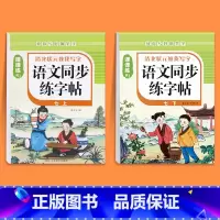 [七年级上册+下册]语文同步字帖 七年级/初中一年级 [正版]2025版七年级语文字帖下册上册同步人教版初中生八九初一钢