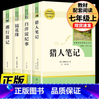 [七上•人教选读4册]猎人笔记+白洋淀纪事+镜花缘+湘行散记 [正版]七年级上册西游记原著朝花夕拾鲁迅人民教育出版社人教