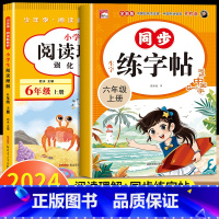 [六上 2册]阅读理解+同步练字帖 小学六年级 [正版]2025新版六年级下册阅读理解强化训练上册小学生每日一练训练题