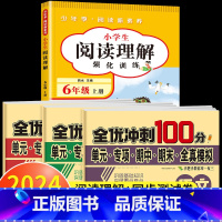 [六上 4册]阅读理解+语数英同步测试卷 小学六年级 [正版]2025新版六年级下册阅读理解强化训练上册小学生每日一练训