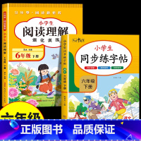 [六下 2册]阅读理解+同步练字帖 小学六年级 [正版]2025新版六年级下册阅读理解强化训练上册小学生每日一练训练题