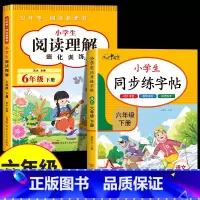 [六下 2册]阅读理解+同步练字帖 小学六年级 [正版]2025新版六年级下册阅读理解强化训练上册小学生每日一练训练题