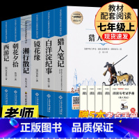 [完整版 6册]猎人笔记+白洋淀纪事+镜花缘+湘行散记+朝花夕拾+西游记 [正版]七年级上册阅读课外书 猎人笔记白洋淀纪
