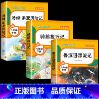 [3本]鲁滨逊+骑鹅+汤姆索亚 [正版]全套4册 鲁滨逊漂流记六年级下册的课外书阅读原著完整版汤姆索亚历险记爱丽丝漫游奇