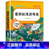 [单本]爱丽丝漫游奇境 [正版]全套4册 鲁滨逊漂流记六年级下册的课外书阅读原著完整版汤姆索亚历险记爱丽丝漫游奇境尼尔斯