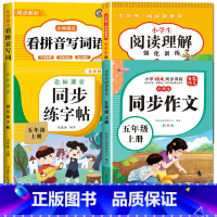 [五年级上册]看拼音+阅读理解+同步作文+字帖 小学五年级 [正版]看拼音写词语五年级下册 语文小学注音生字拼音拼读字词