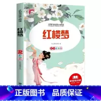 红楼梦 [正版]法布尔昆虫记彩图注音版三年级下册一年级阅读课外书必读二年级原著完整版小学生注音版大语文学校儿童科普读物故