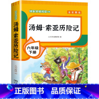 [单本]汤姆索亚历险记 [正版]全套4册 鲁滨逊漂流记六年级下册的课外书阅读原著完整版汤姆索亚历险记爱丽丝漫游奇境尼尔斯