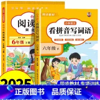 [六年级下册]看拼音写词语+阅读理解 小学六年级 [正版]看拼音写词语六年级下册 语文小学注音生字拼音拼读字词6年级上汉
