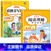 [六年级上册]看拼音写词语+阅读理解 小学六年级 [正版]看拼音写词语六年级下册 语文小学注音生字拼音拼读字词6年级上汉