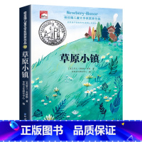 草原小镇(单本) [正版]纽伯瑞国际儿童文学金奖小说系列全套10册中小学生三四五六年级学校课外书阅读经典读物儿童文学初一