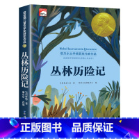 丛林历险记(单本) [正版]纽伯瑞国际儿童文学金奖小说系列全套10册中小学生三四五六年级学校课外书阅读经典读物儿童文学初