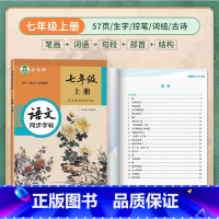 [全彩版大本]七年级上册语文 [正版]邹慕白2024新版人教版衡水体7-9年级英语练字帖上册下册七八九年级英语同步字帖初