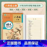 [全彩版大本]八年级上册语文 [正版]邹慕白2024新版人教版衡水体7-9年级英语练字帖上册下册七八九年级英语同步字帖初